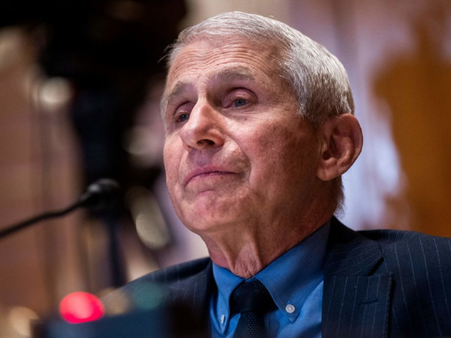 Director of the National Institute of Allergy and Infectious Diseases Dr. Anthony Fauci testifies during a Senate Appropriations Subcommittee on Labor, Health and Human Services, Education, and Related Agencies hearing to examine the proposed budget for fiscal year 2023 for the National Institutes of Health, on Capitol Hill in Washington, DC, on May 17, 2022. (Photo by SHAWN THEW / POOL / AFP) (Photo by SHAWN THEW/POOL/AFP via Getty Images)